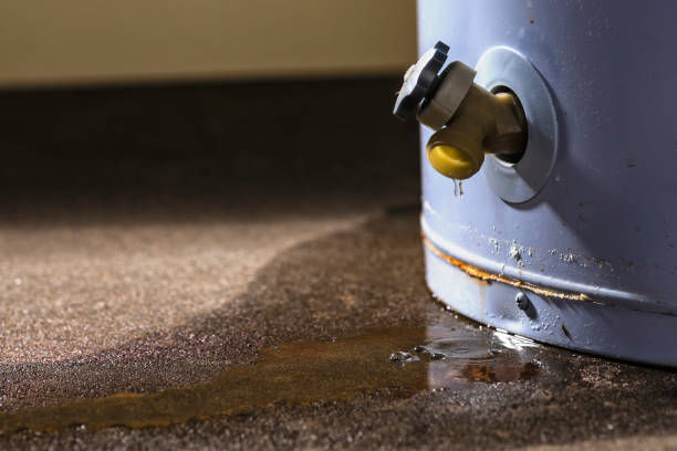 Best Commercial water damage restoration  in Little Round Lake, WI