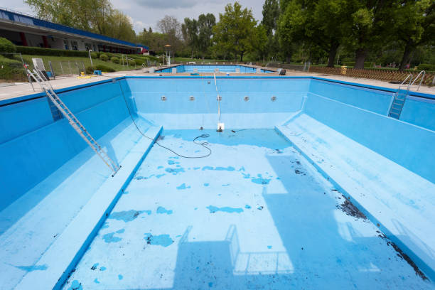 Best Basement water damage restoration  in Little Round Lake, WI