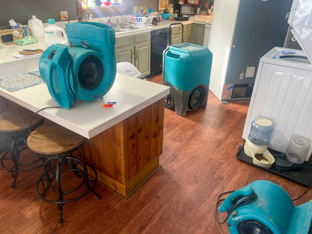 Best Water damage restoration insurance claims  in Little Round Lake, WI