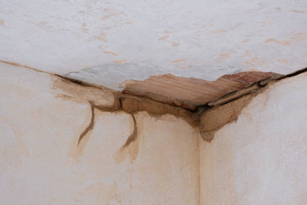 Best Water damage restoration experts  in Little Round Lake, WI
