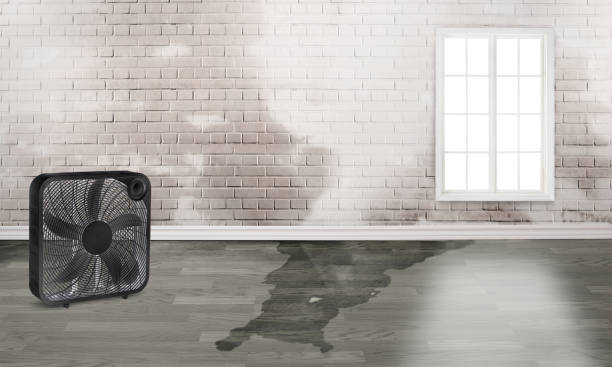 Reliable WI Water damage restoration Solutions