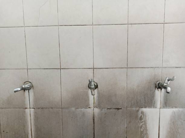 Best Professional water damage repair  in Little Round Lake, WI