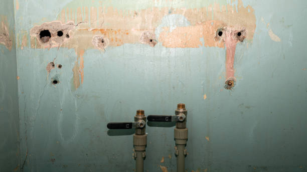 Best 24/7 water damage repair  in Little Round Lake, WI