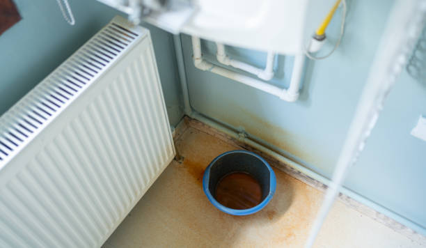 Best Professional water damage repair  in Little Round Lake, WI
