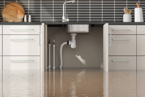 Best Mold removal after water damage  in Little Round Lake, WI