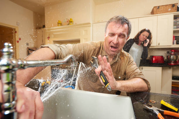 Best Water damage cleanup near me  in Little Round Lake, WI